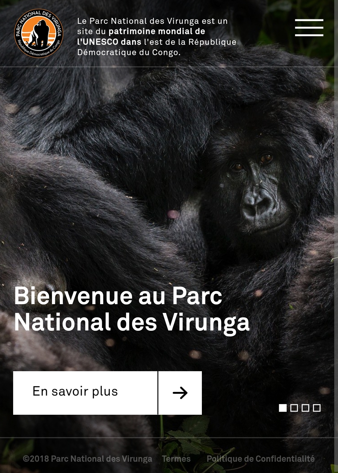 Découvrez le nouveau site Internet de la Fondation Virunga
